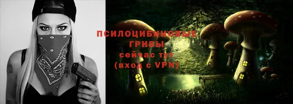 крисы Арсеньев