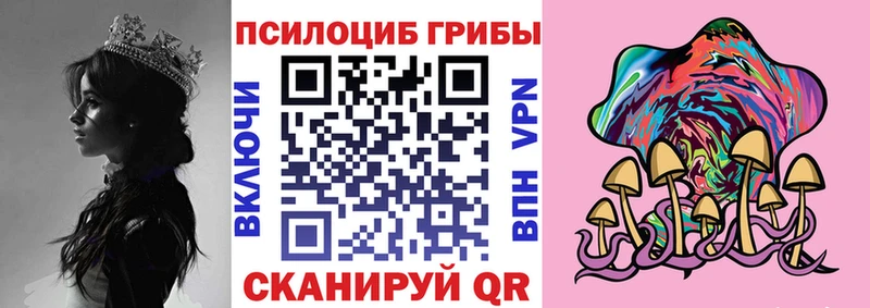 купить закладку  Уржум  kraken как войти  Галлюциногенные грибы GOLDEN TEACHER 